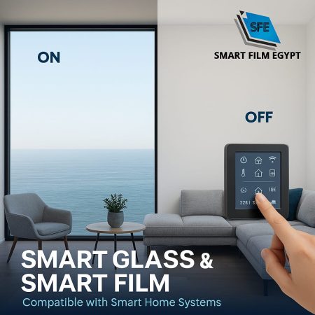 522799384_725716240426693_5130552583544439593_n