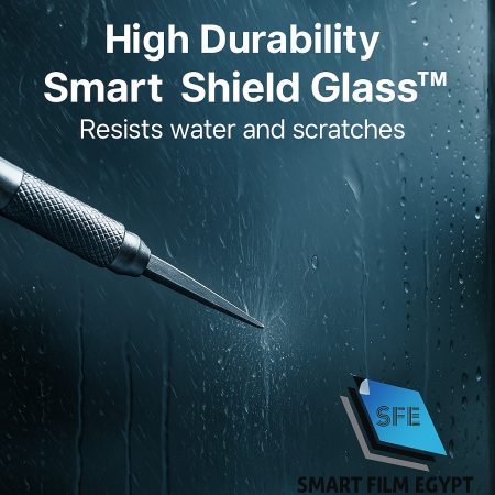 523852889_725711843760466_6449452336148482422_n